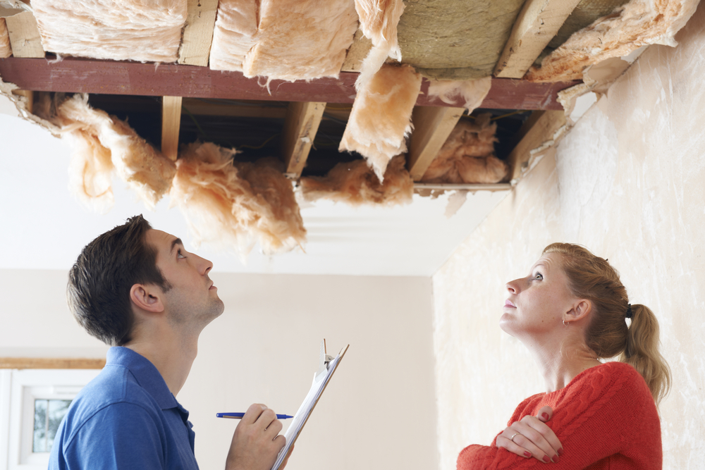 Expert ceiling inspection