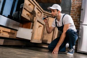 Termite Inspection Atlanta – Protect your Investment from Silent Destroyers