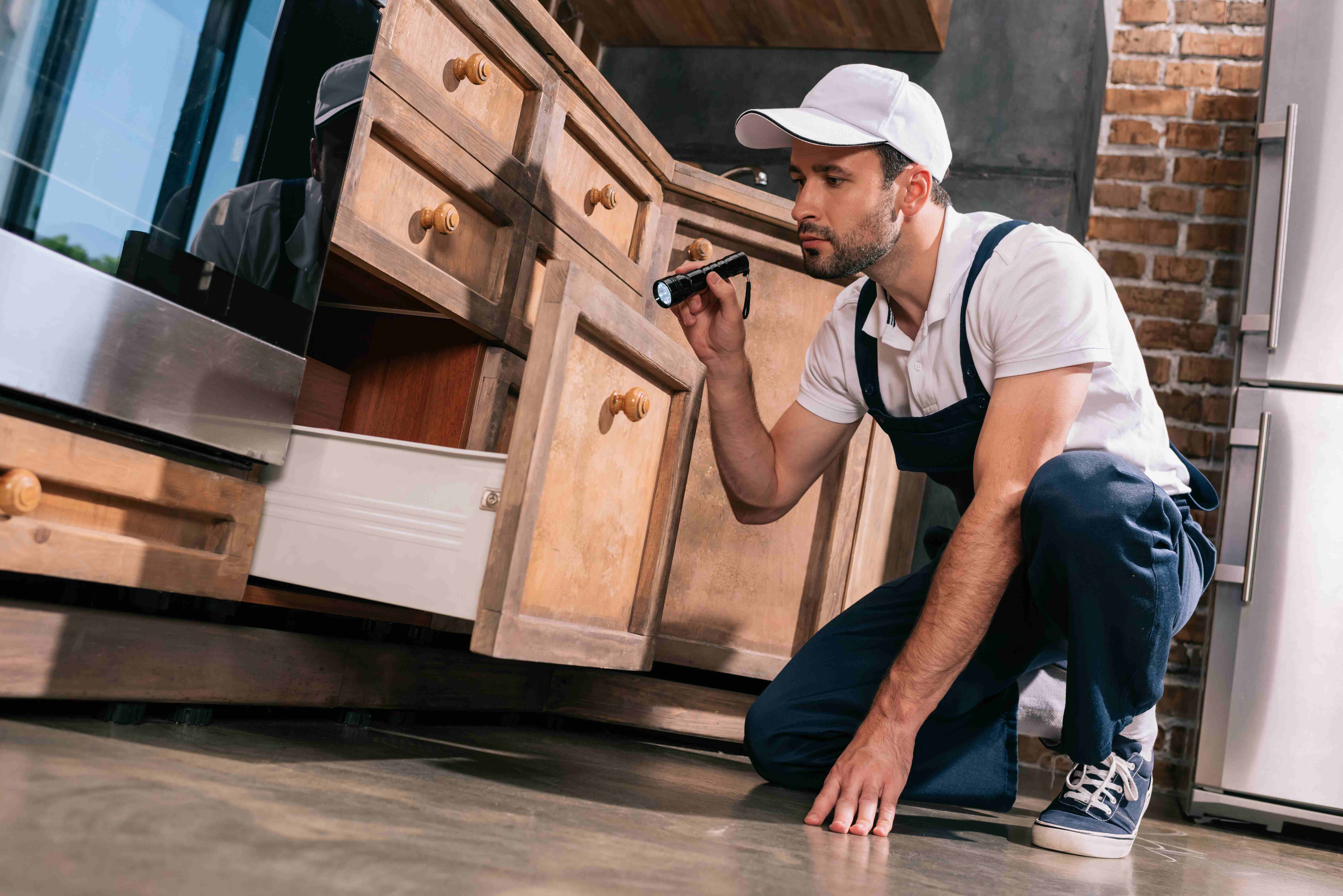 Termite Inspection Atlanta – Protect your Investment from Silent Destroyers